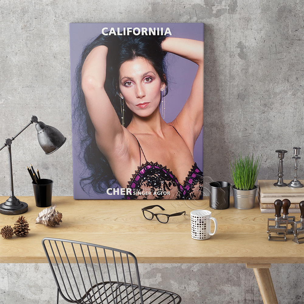 Cher Sexy Music Star Art Print - Vintage Collectible Magazines recensie en prijs