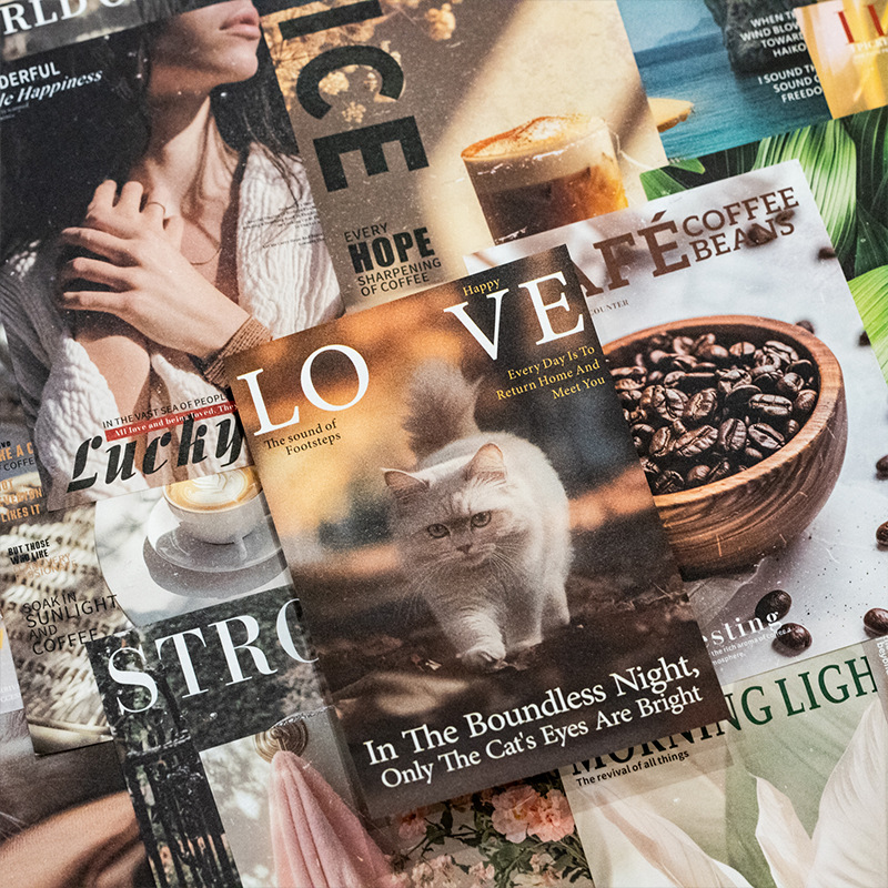 Mr.Paper 30Pcs/Bag Vintage The - Vintage Collectible Magazines recensie en prijs
